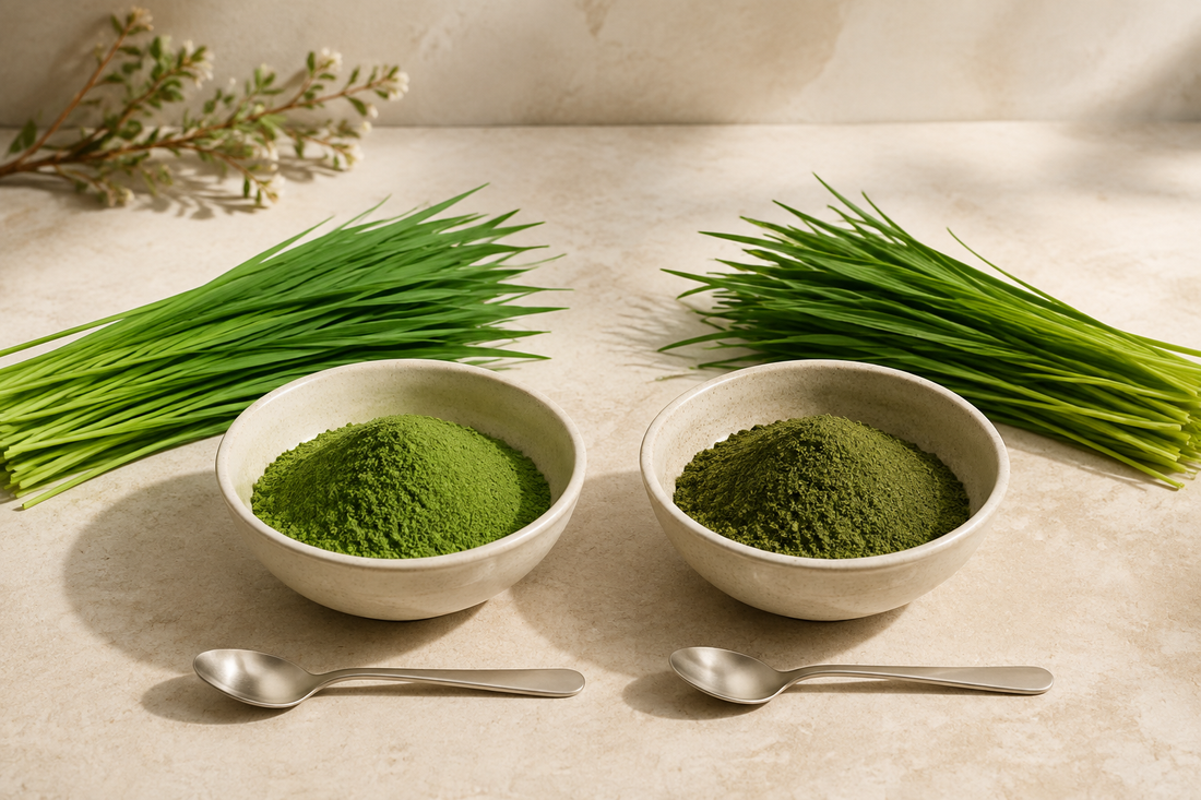 Wheatgrass and barley grass powders with fresh young grass shown side by side